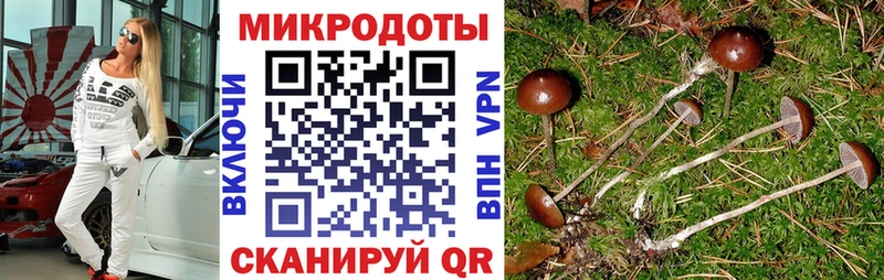 сколько стоит  Венёв  Галлюциногенные грибы прущие грибы 